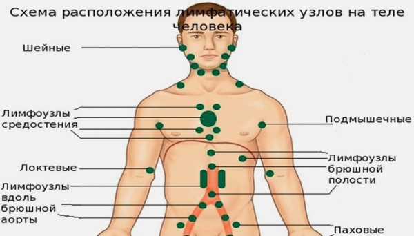 Лимфоузел под мышкой